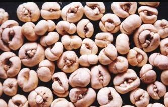 ҩ�ģ����㡢��ĸ�ȣ�