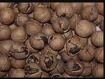 ��Ϫɽ����