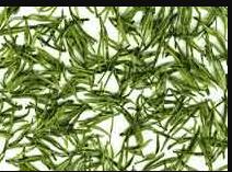 �����ײ�