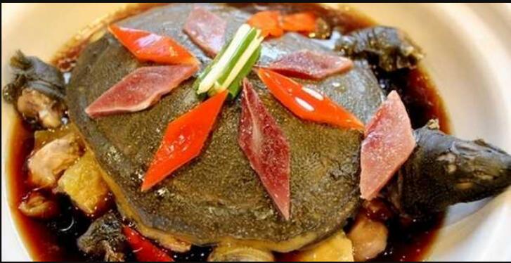 ������Ϫ����