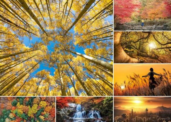 ÿ��ѧ����Ӱ���ɣ�����9�������ķ�⣬������Ƭ������