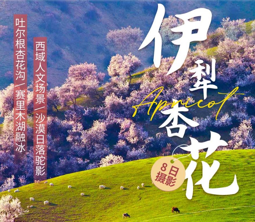 ɳĮ����--��ľ����ɳĮ ���½��紺��Ӱ��3-4�������ӻ���������ľ����������-�¶����ӻ�����������