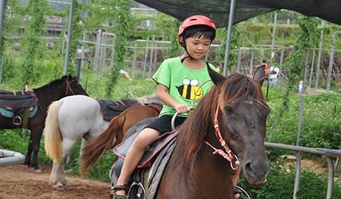 ���ڷ��ɽһ���Σ����ɽũȤ�ȣ�Ȥζ�--����