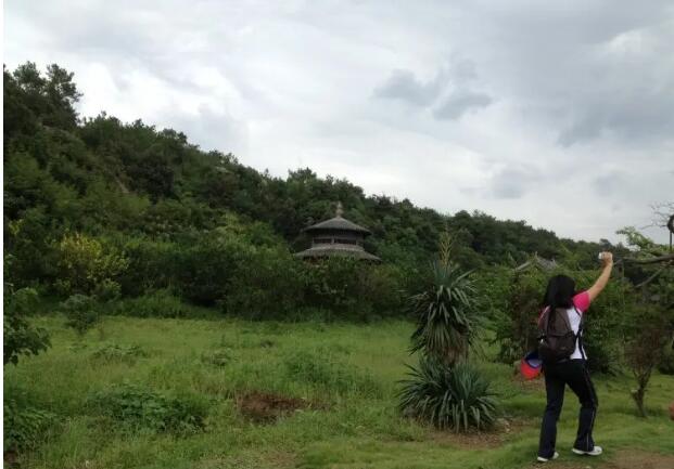 ������ɽӰ�ӳ�