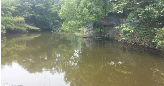 临安八百里风情岛