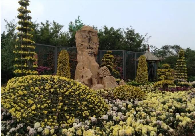 重庆万盛黑山谷