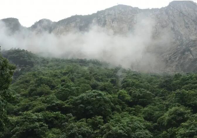 涪陵武陵山大裂谷