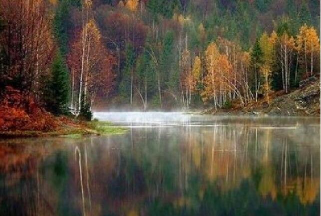 ͩ®��Ϫ���