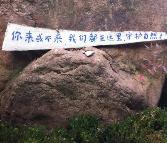 ͩ®����ͨ���