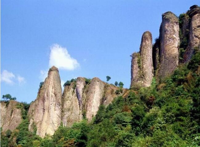 �����²������ɹ�