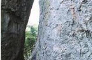 �����ɹ�