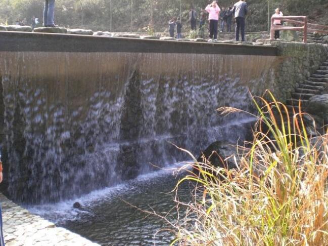 ���ֽ�����Ͽ