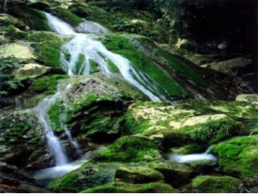 �������˹�