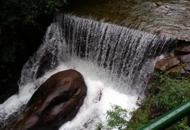 大奇山国家森林公园
