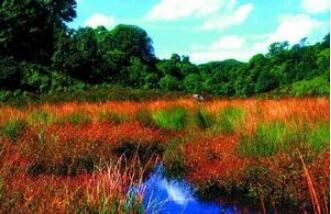 磨盘山国家森林公园