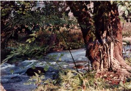 红河个旧绿水河热带雨林旅游度假区