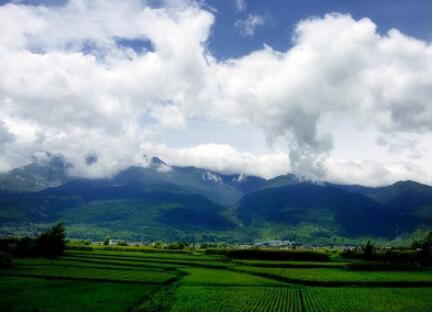 大理自然马帮旅游服务部