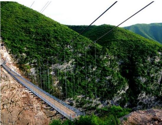 ��ɽɭ�ֹ�԰�����е�һϿ��