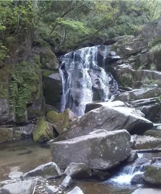 木王国家森林公园