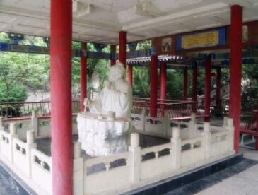 ���ٷ羰��