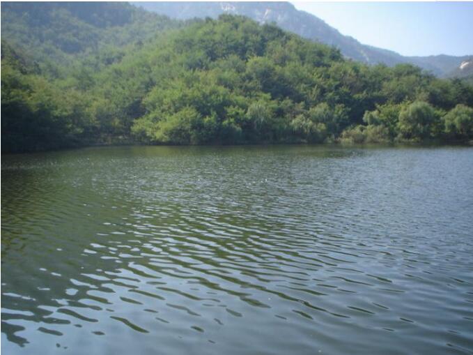 �Ͳ�����ǰ