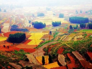 ��ɽ���˹�