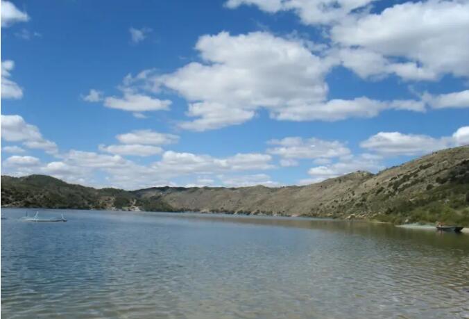 ����ľ��