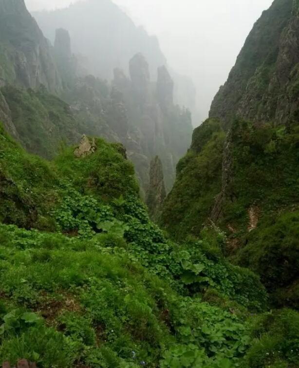 神农谷国家森林公园