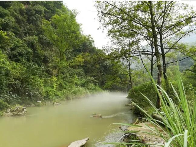 �˲��������ݹ�