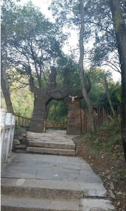 ������Դ����