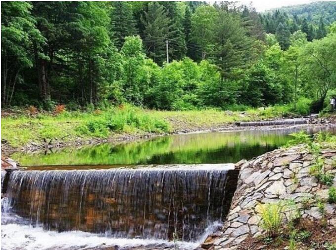 ����Ͽ��