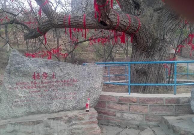 邢台前南峪生态观光园