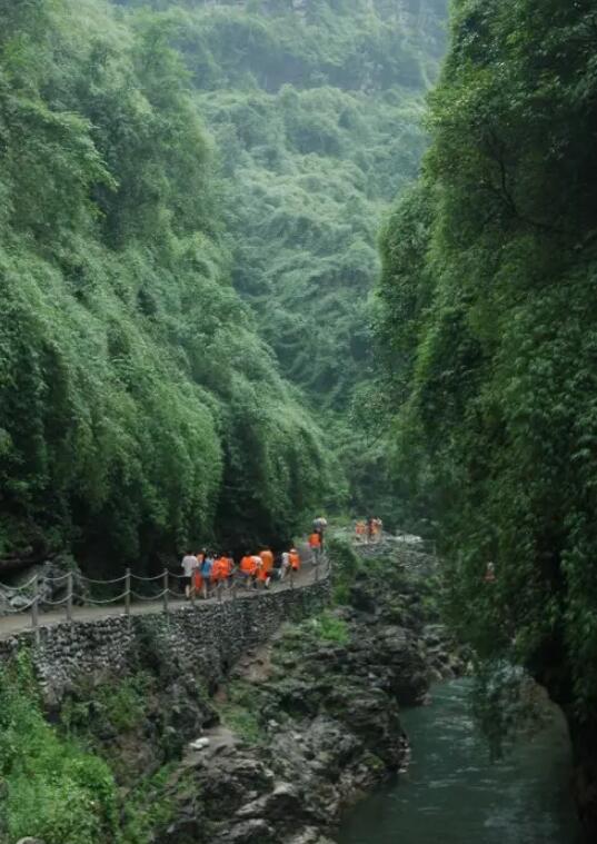 ˮ���Ӿ���