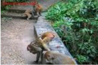 广西龙潭国家森林公园