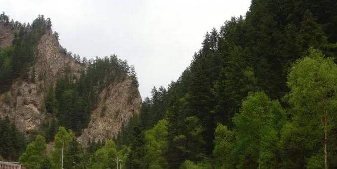 吐鲁沟国家森林公园