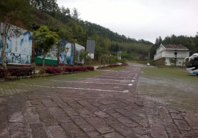 �����Ͽ����