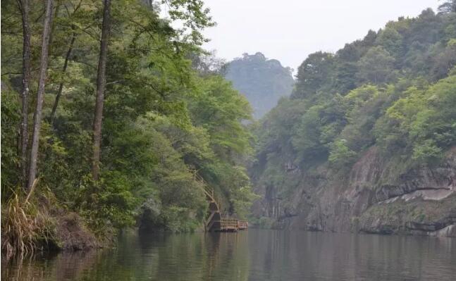 ̩������̶����