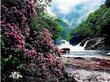 �Ƹ�ɽ��Ͽ�Ⱦ���