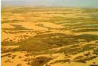 榆林毛乌素沙漠