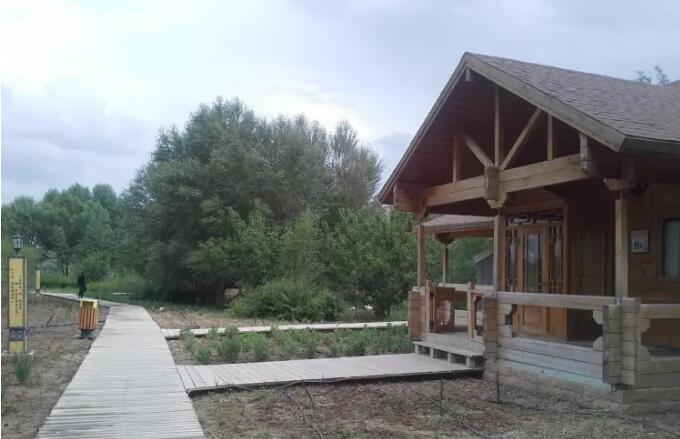 宁夏中卫金沙岛