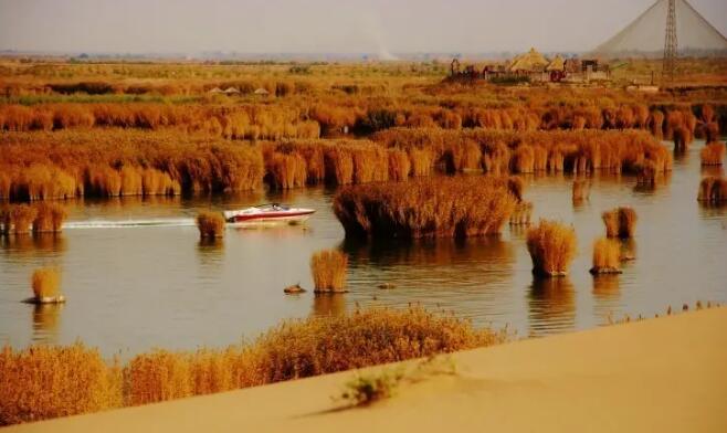 宁夏石嘴山市沙湖旅游景区