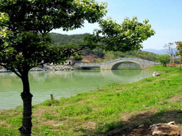 ͩ®��ʯ�徰��