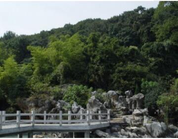 ������ȶ�