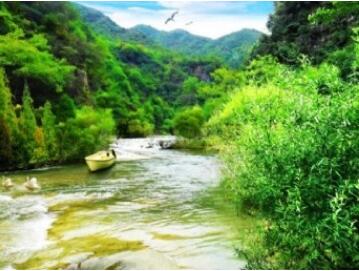 ��Х̲����