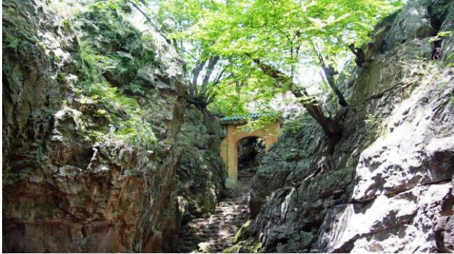 ���ƶ��������η羰��