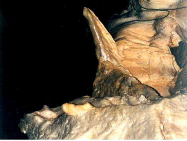 ���ܼ�ɽ���ɶ�