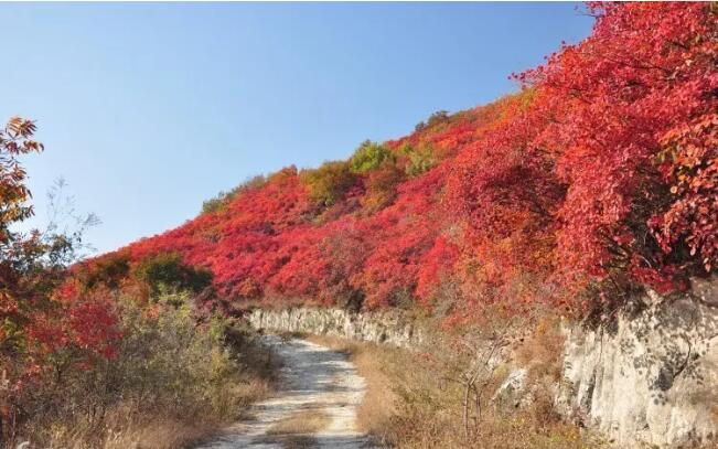 ͩ��ɽ��Դ�羰��ʤ��