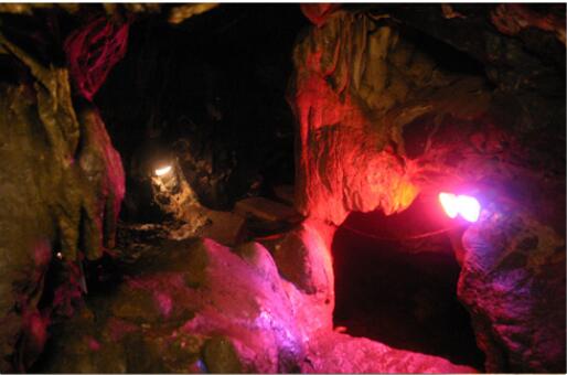 �����ƻ�����