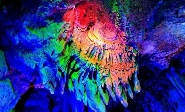 �������ڶ�