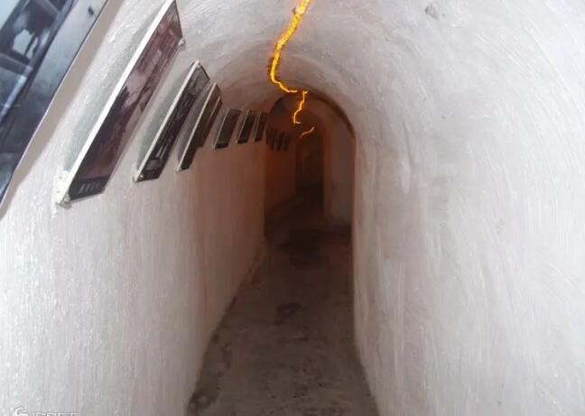 ³ɽ�����ض�Ư��